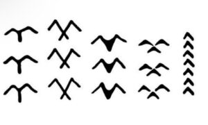 Significado dos Pássaros